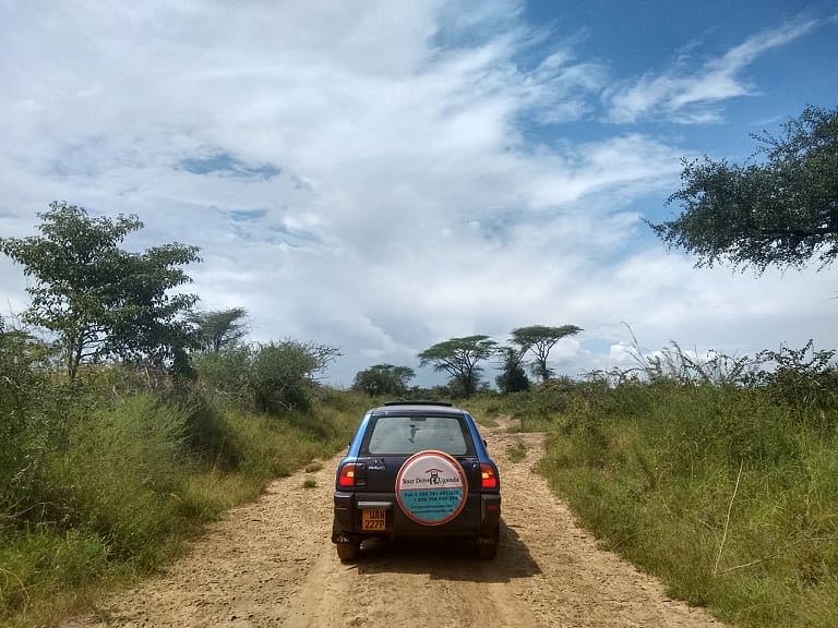Self drive Uganda