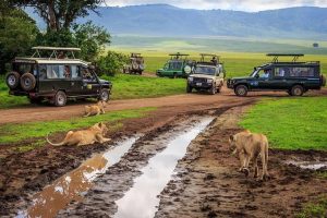 5 Common Car hire Uganda mistakes to avoid when renting a car